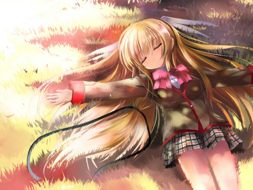 204611 (a): :1280x960